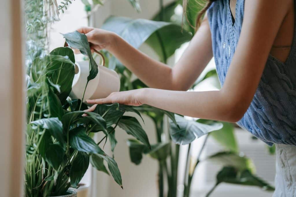 Woman watering a plant at home, representing creating space to balance your life by slowing down and caring for what matters