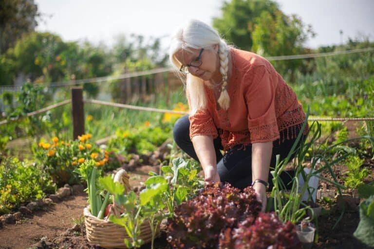 Woman gardening in natural light, showing the physical, emotional, and seasonal benefits of having a hobby